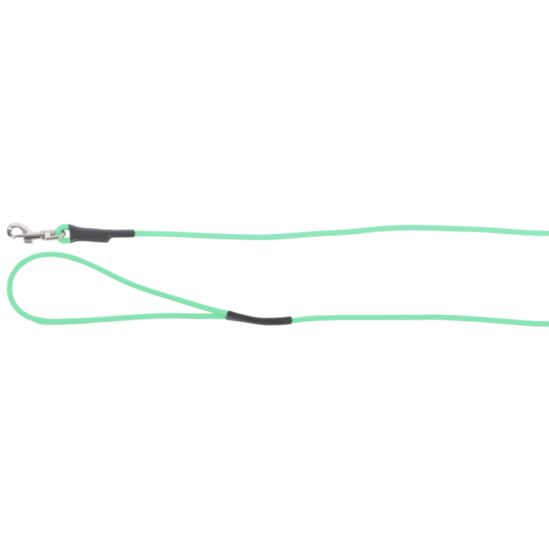 LAISSE ENTRAINEMENT CASPAR POUR CHAT VERT MENTHE 0.4CM/5METRES LAISSE ENTRAINEMENT CASPAR POUR CHAT VERT MENTHE 0.4CM/5METRES