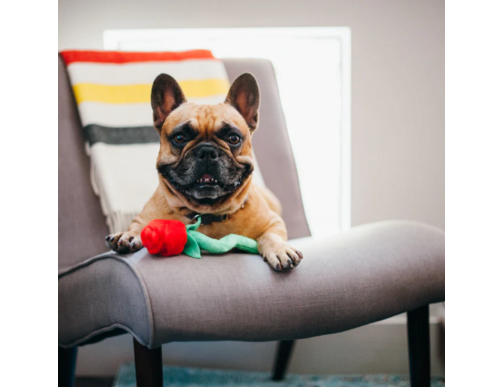 PLAY PUPPY LOVE ROVER'S ROSE