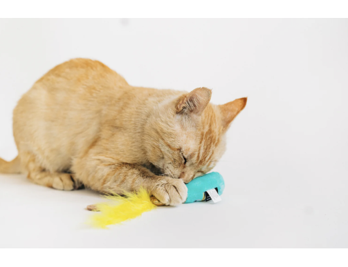 PLAY FELINE FRENZY 3 WINES