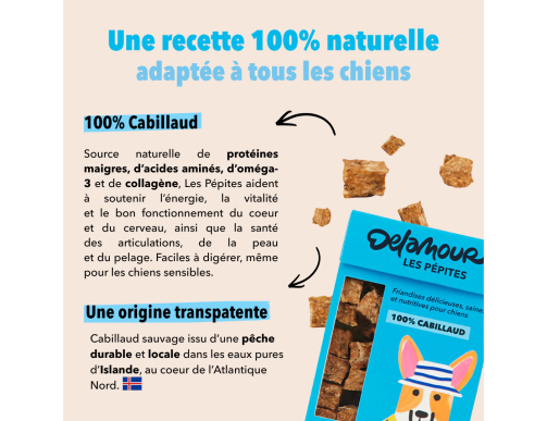 RECHARGE PEPITES DELAMOUR CABILLAUD 100GR -CDC