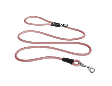 curli laisse rose printemps chien promenade balade