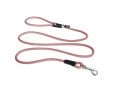 curli laisse rose printemps chien promenade balade