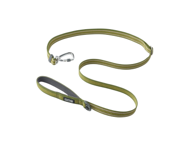 laisse vert chien