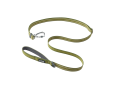 laisse vert chien
