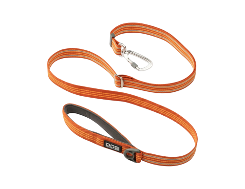 laisse orange chien urban dog copenhagen