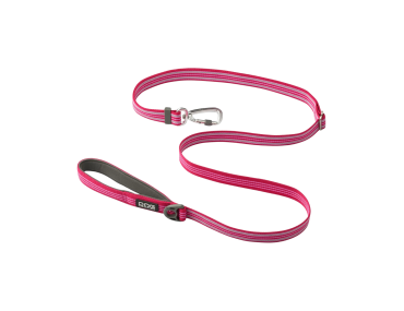 LAISSE CHIEN promenade rose printemps