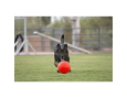 JOLLY FOOTBALL SOCCER BALL ORANGE S 15CM