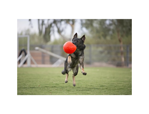 JOLLY FOOTBALL SOCCER BALL ORANGE S 15CM JOLLY FOOTBALL SOCCER BALL ORANGE S 15CM