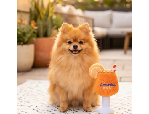 DIGGITY APAWROL SPRITZ
