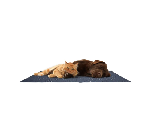 TAPIS RAFRAICHISSANT DROP GRIS TAPIS RAFRAICHISSANT DROP GRIS