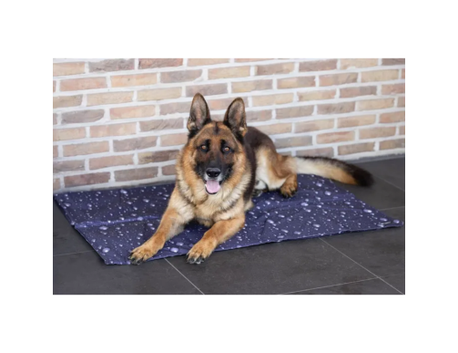 TAPIS RAFRAICHISSANT DROP GRIS TAPIS RAFRAICHISSANT DROP GRIS