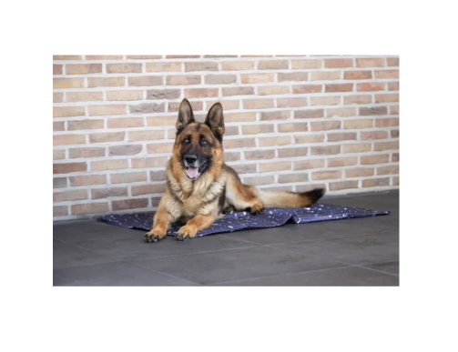 TAPIS RAFRAICHISSANT DROP GRIS TAPIS RAFRAICHISSANT DROP GRIS