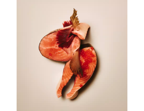 Friandises carnilove crunchy saumon Friandises carnilove crunchy saumon