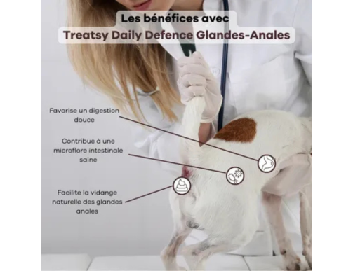 TREATSY DOG SUPPLEMENT GLANDES ANALES 30 BOUCHEES 90GR TREATSY DOG SUPPLEMENT GLANDES ANALES 30 BOUCHEES 90GR