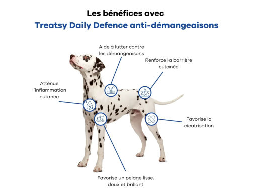 TREATSY DOG SUPPLEMENT ANT-DEMANGEAISON 30 BOUCHEES 90GR TREATSY DOG SUPPLEMENT ANT-DEMANGEAISON 30 BOUCHEES 90GR