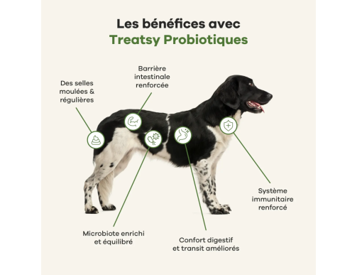 TREATSY DOG SUPPLEMENT PROBIOTIQUES 30 BOUCHEES 90GR TREATSY DOG SUPPLEMENT PROBIOTIQUES 30 BOUCHEES 90GR