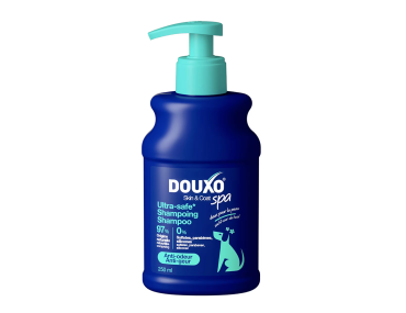 shampoing pour chien anti odeur