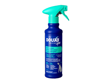 spray anti odeurs pour chien