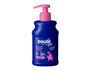 shampoing pour chien anti demangeaison