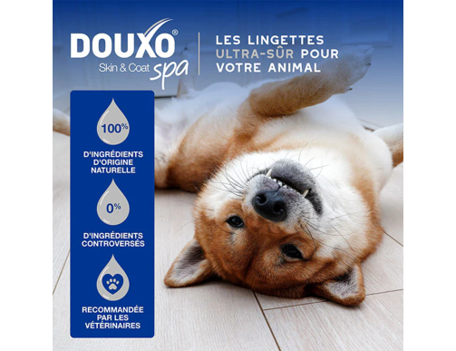 LINGETTES DOUXO SPA X100 LINGETTES DOUXO SPA X100
