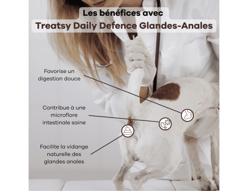 TREATSY DOG SUPPLEMENT GLANDES ANALES 30 BOUCHEES 90GR