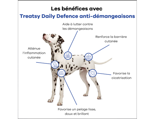 TREATSY DOG SUPPLEMENT ANT-STRESS 30 BOUCHEES 90GR