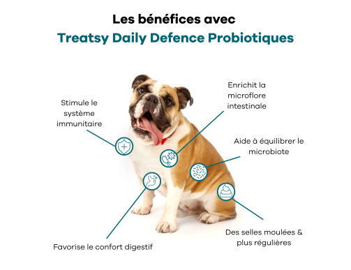 TREATSY DOG SUPPLEMENT PROBIOTIQUES 30 BOUCHEES 90GR