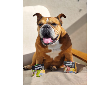 YOWUP DOG YOGURT GLACE BACON 110GR -ETE