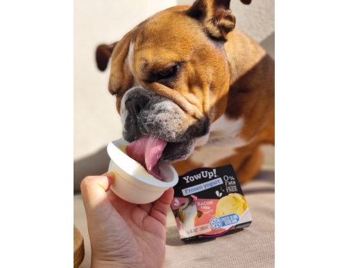 YOWUP DOG YOGURT GLACE POMME-POULET 110GR -ETE