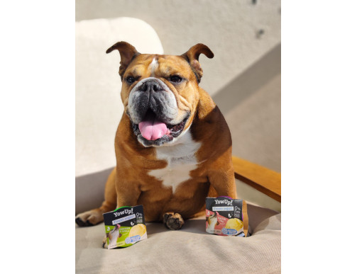 YOWUP DOG YOGURT GLACE POMME-POULET 110GR -ETE