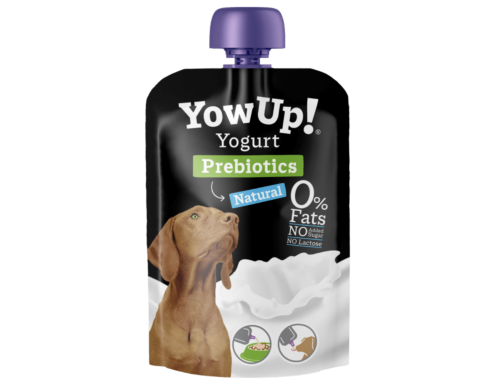 yaourt naturel chien, complément digestion chien, prébiotiques tapis de léchage chien friandise liquide chien, microbiote