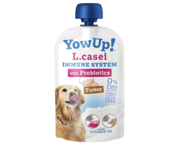 yaourt chien immunité probiotics