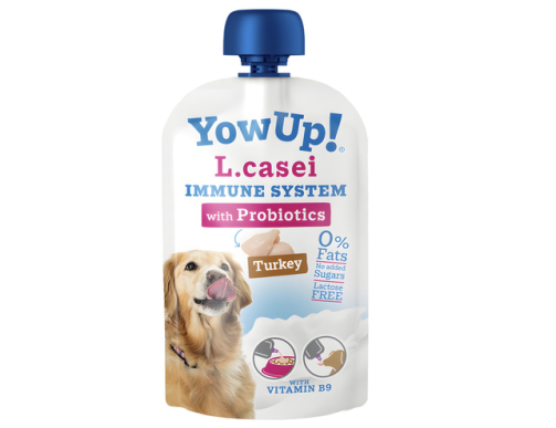 yaourt chien immunité probiotics