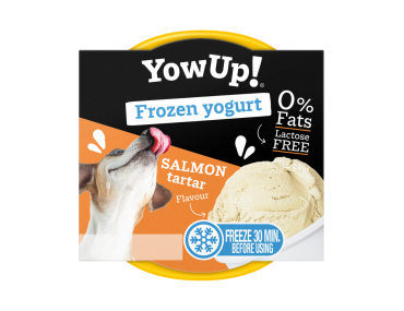 yaourt glace chien chat saumon tartare