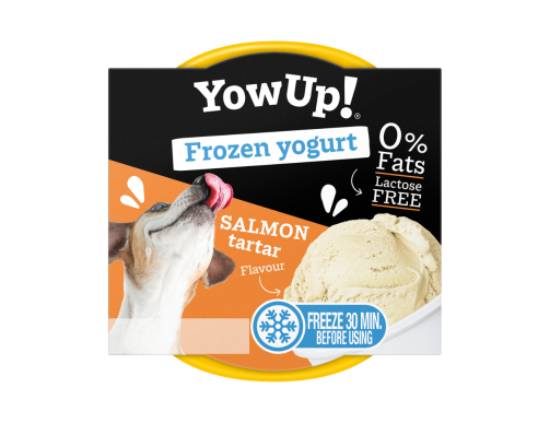 yaourt glace chien chat saumon tartare