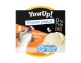 yaourt glace chien chat saumon tartare
