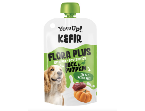YOWUP DOG KEFIR CANARD ET CITROUILLE chien