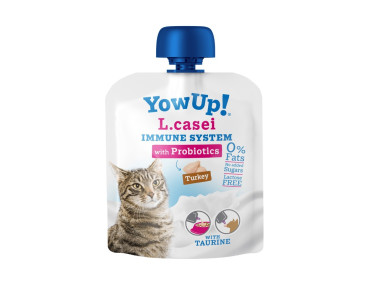 yaourt chat, yaourt immunité chat, L casei chat, yaourt dinde chat, complément immunité chat,