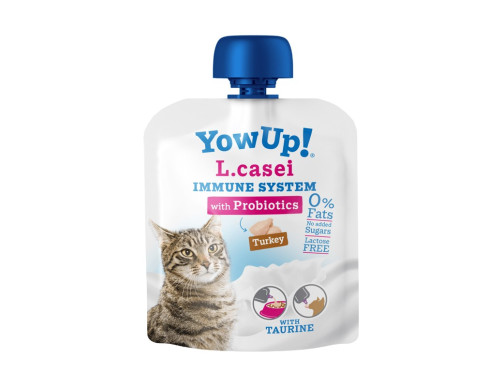 yaourt chat, yaourt immunité chat, L casei chat, yaourt dinde chat, complément immunité chat,