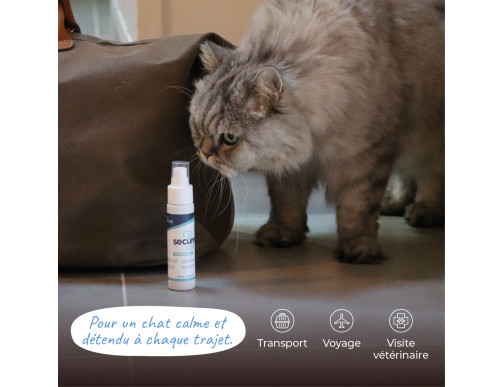 SECURECAT SPRAY 50ML