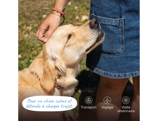 SECUREDOG SPRAY 50ML