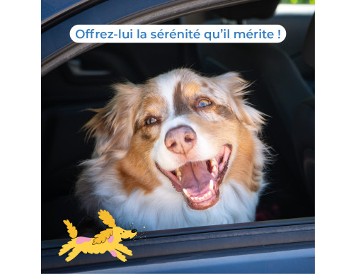 SECUREDOG SPRAY 50ML