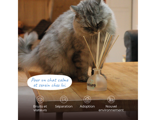 SECURECAT HOME DIFFUSEUR + 8 BATONNETS + FLACON 80ML
