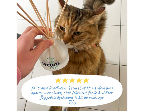 SECURECAT HOME DIFFUSEUR + 8 BATONNETS + FLACON 80ML