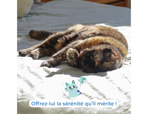 SECURECAT HOME DIFFUSEUR + 8 BATONNETS + FLACON 80ML