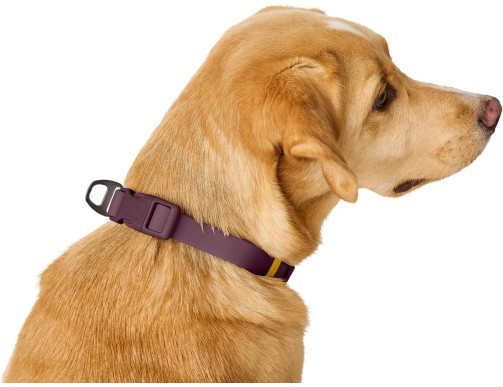 COLLIER HAVANNA MURE