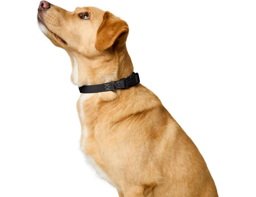 COLLIER HAVANNA NOIR