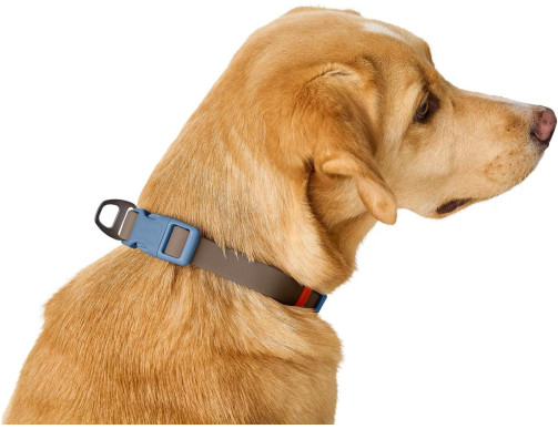 COLLIER HAVANNA TAUPE/BLEU
