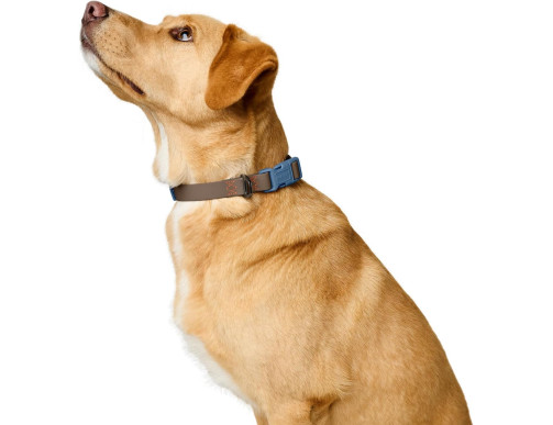 COLLIER HAVANNA TAUPE/BLEU