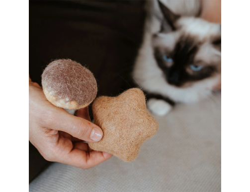 JOUET CHAT CHAMPIGNON LAINE